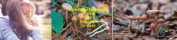 эйфоретик Алексеевка