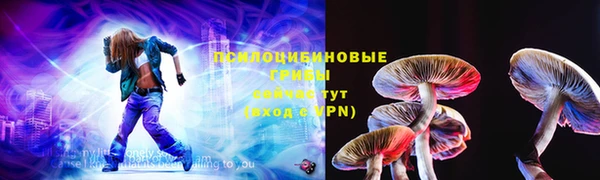 хмурый Алзамай