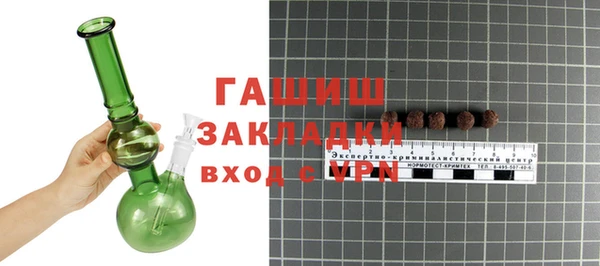 хмурый Алзамай