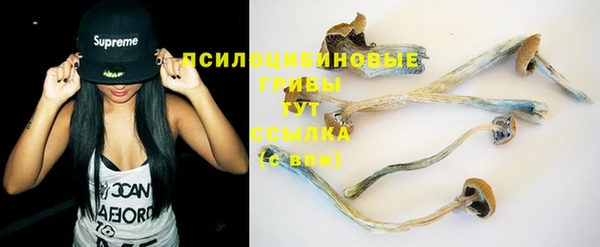 хмурый Алзамай