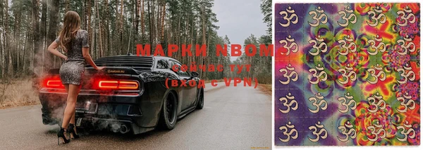 хмурый Алзамай