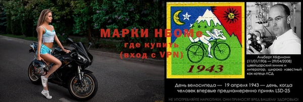 хмурый Алзамай