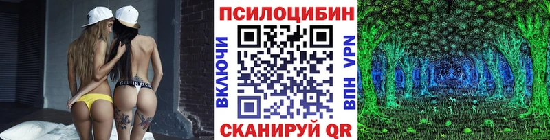 Галлюциногенные грибы Psilocybine cubensis  Ухта 